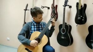 Странники на гитаре