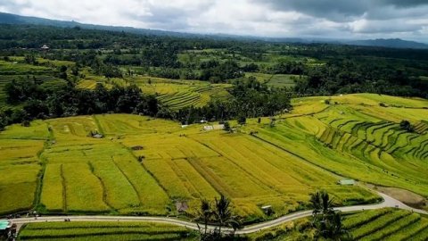Красивое видео природы с музыкой! Удивительный cамые красивые места на Земле! Музыка Сергей Грищук