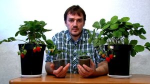 Земля и гидропоника это нужно знать