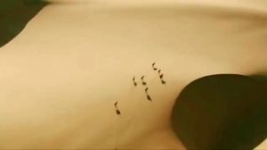 Пока Земля ещё вертится