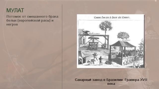 Освоение Америки (рус.) Новая история.