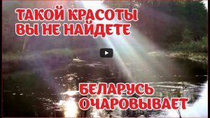 Отдых в Беларуси. Красоты  природы. Уехали из города. Хутор на речке в лесу. Белорусское полесье.