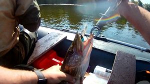 Гольный бугор  Река Ока  Рыбалка троллингом