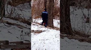 Как свалить дерево возле дома при помощи лебедки видео 3