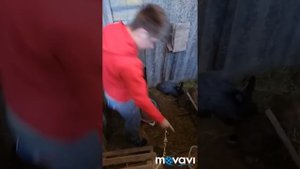 Ямное содержание кроликов. Лучший способ содержать кролей