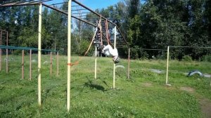 25 отжиманий на канатах, подъёмы переворотом на кольцах (Архив 2020 года).