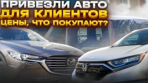 Что мы привозим из Японии и Кореи в марте 2023? Цены!