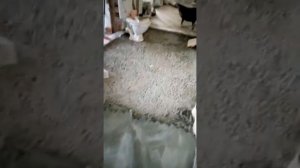 Поднимаем уровень пола, используя керамзит с пескобетоном... 2 часть