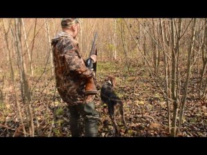 Фильм первый. Охота на вальдшнепа с легавой собакой. Дратхаар Рюрик - 9,5 месяцев. Осень 2016.