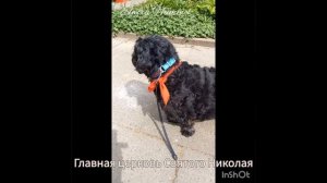 Германия.Гамбург.#познаемгорода#экскурсия#прогулкапонороду