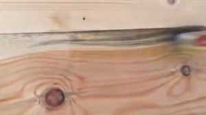 Синева на брусе? Есть выход