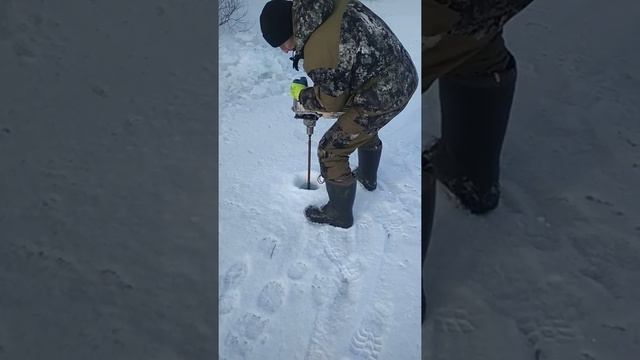 Мотобур, бензобур из бензопилы. Своими руками. смотреть онлайн