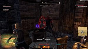 Tamriel Online [Avec Yuushito] Cacher & Yuushi Coincer