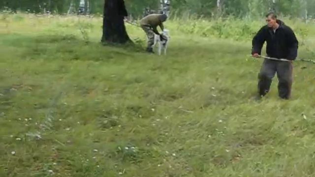 Дана, Омран смотреть онлайн