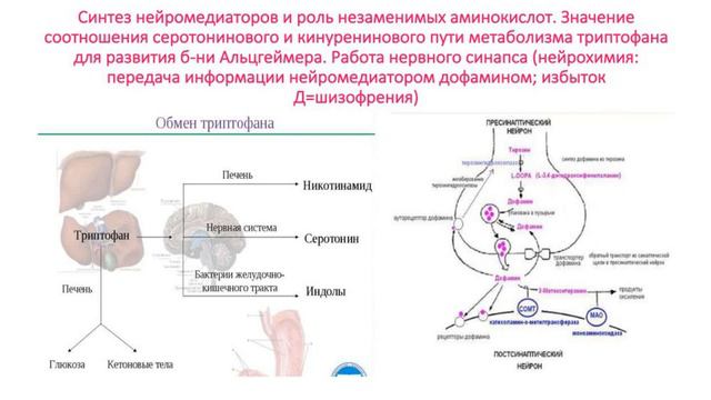 Вебинар "Магия мозга" - ч1. 22.09.20