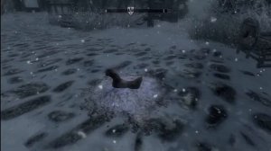 Ash Pile Chicken (Skyrim)