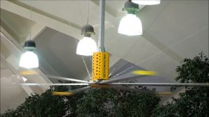 Большой потолочный вентилятор ВЕТРОМАСТЕР на Даниловском рынке, Москва