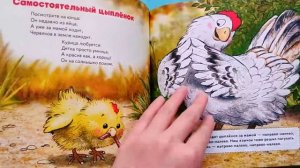 Про наших соседей - от муравьёв до медведей! Логопедические стихи для самых маленьких