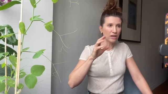 Прибрати зайві складки на тілі? Їжа – ключ до успіху. Пастки, які псують схуднення / Найкращий ефір