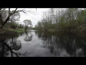 Сплав по реке Березянка Смоленская область