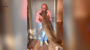 Человек-паук отдыхает. Spider-Messi- новый герой.