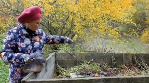 Быстрый компост по новому! Как ускорить созревание компоста в 2 раза.