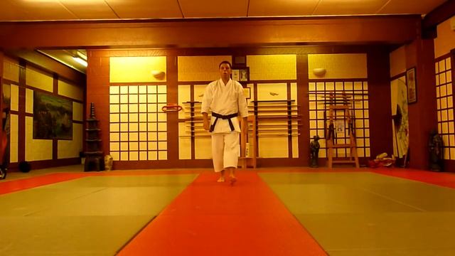 Heian Nidan Shotokan Karate Kata