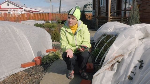 Что делать с розами после зимы смотреть онлайн