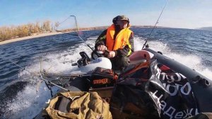 Риб буревестник 390 осень 2019