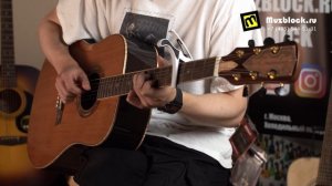 Crusader CF-510FM - акустическая гитара дредноут