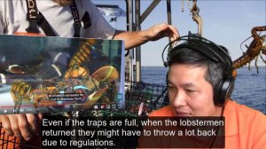 Tôm hùm | Cockroaches of the sea | Cùng dịch tiếng Anh