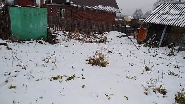 Подготовка к ремонту. Приехали в деревню. #зима,#зимапришла,#деревня, #Побелкадеревьев.