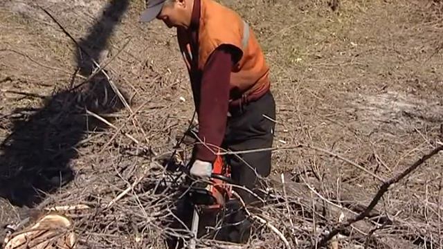 алматинский филиал смотреть онлайн