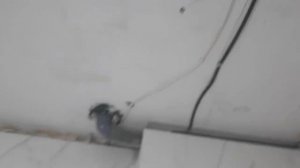 Из убитой хрущевки в студию. Итог.