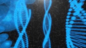 Самые древние из ныне живущих животные