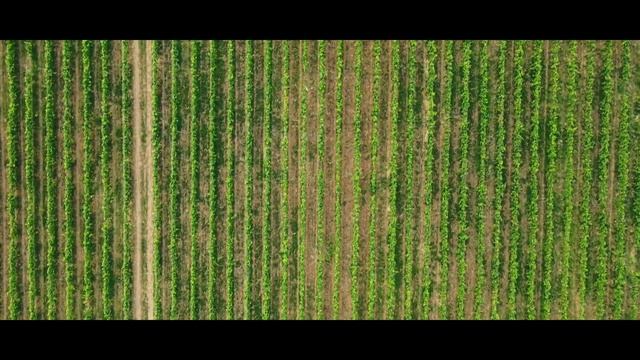 Trailer - OUR PAINTING смотреть онлайн