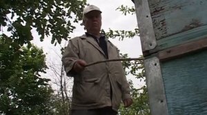 04 Музей пчеловодства