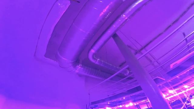 Ситиферма в г. Нижний Новгород. Обзор запуска производства смотреть онлайн