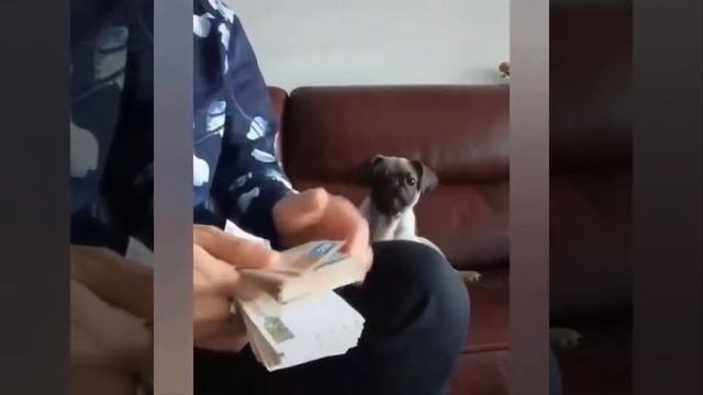 Помошничек?