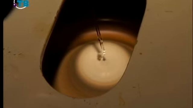 Жидкие кристаллы и жидкокристаллические полимеры смотреть онлайн