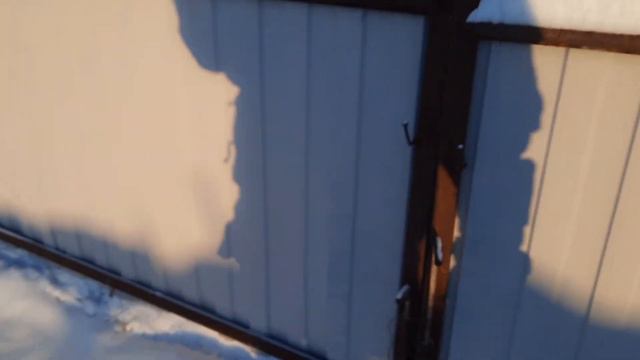 С минус 65 до минус 30=) Кормим животных. смотреть онлайн