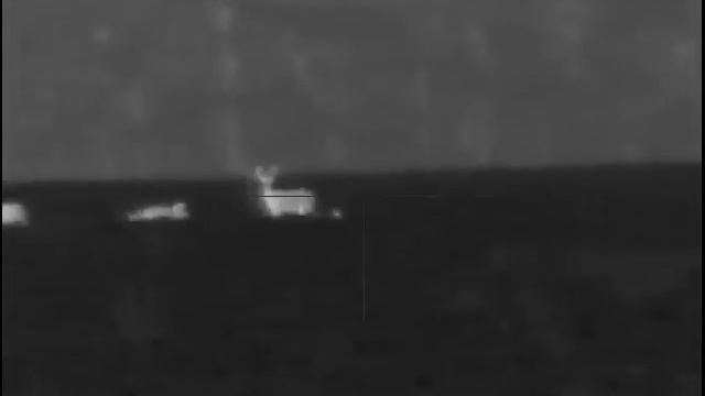 Pulsar Trail Xp50. Indiana whitetails смотреть онлайн