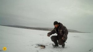 За судаком по первому льду.