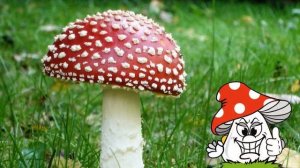 Точки точечки Автор Светлана Петрова, вокал Юлия Селиверстова