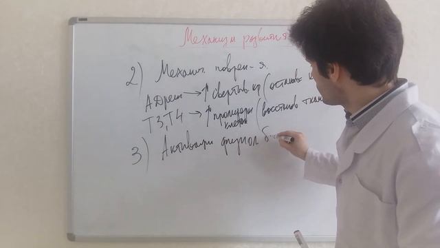 Учение о стрессе Г. Селье