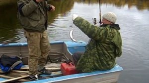 Охота за Тайменем в Иркутске на реке Ия