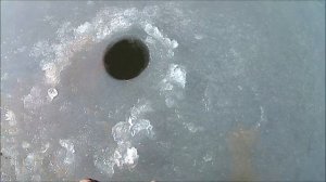 Рыбалка на КМВ, Клевое место (Ессентуки)