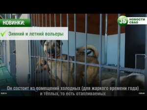 Питомцы приюта "Дубовая роща" переезжают в новые вольеры
