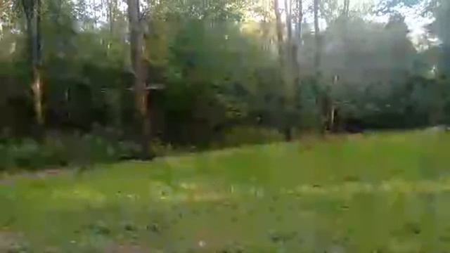 🔴 Лесопарк Лосиный остров/Горски парк Лосове остров/Forest Park Elk Island 🌳🌲☀️🌳🌲 онлайн/online