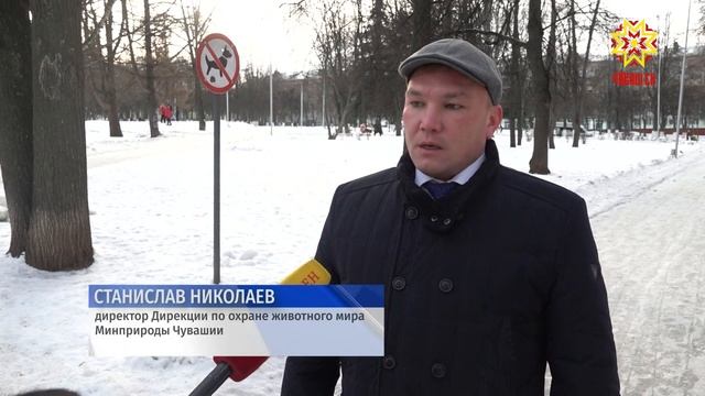 Подкормка диких животных зимой смотреть онлайн